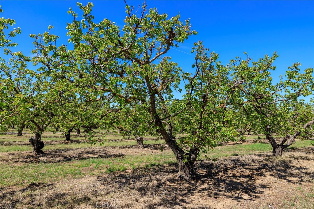 1 Hamilton Rd, Patterson, CA 95360